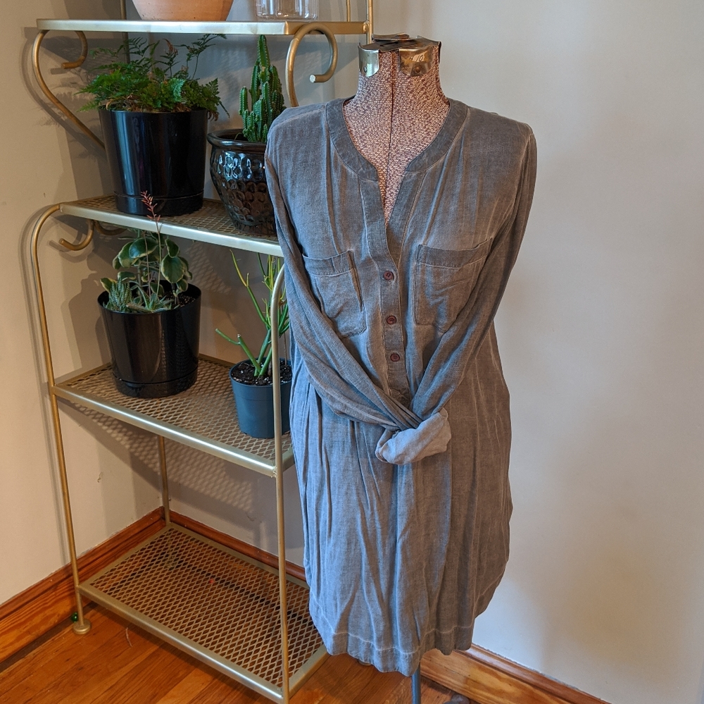 Cloth & Stone Dress